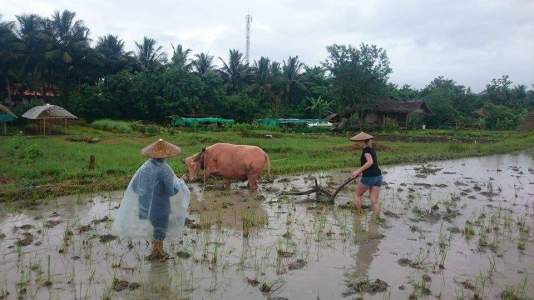 laos-livinglandfarm-9