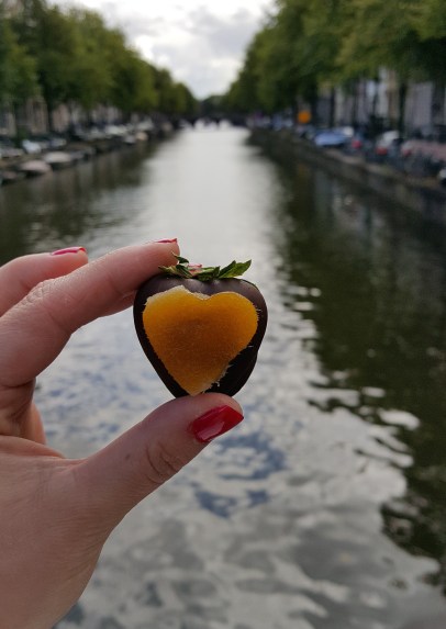 travelguide-aquicktriptoamsterdam (12)