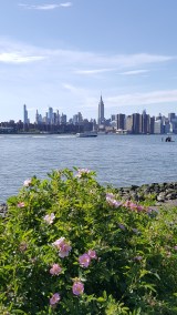 tips-newyorkparks-brooklyn (2)