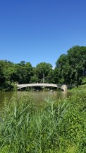 tips-newyorkparks-centralpark (1)